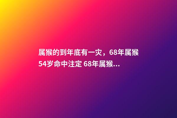 属猴的到年底有一灾，68年属猴54岁命中注定 68年属猴女2023年的运程-第1张-观点-玄机派